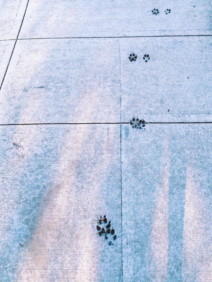 Processed with VSCO with k2 preset